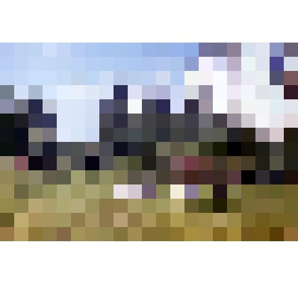 Диапозитив. Бульвар. (142)