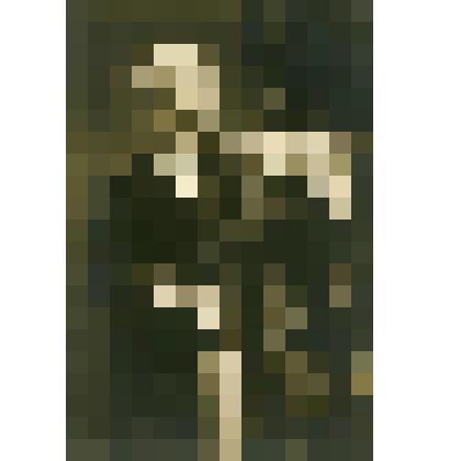 Открытое письмо. Портрет Пабло де Сарасате (1844-1908), испанского скрипача и композитора