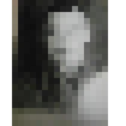 Фотография Коковин А.А