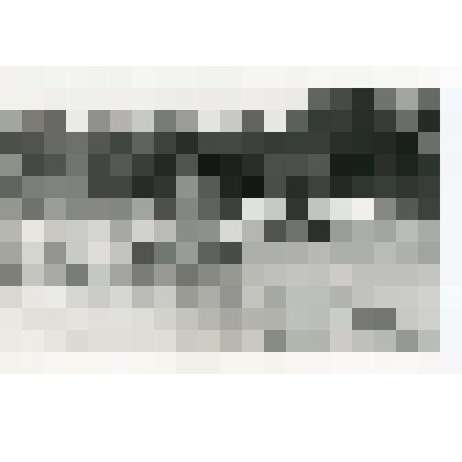 Фотография. Начало автокросса автомобилей «УАЗ-469» (старт) на Чемпионате СССР по автокроссу