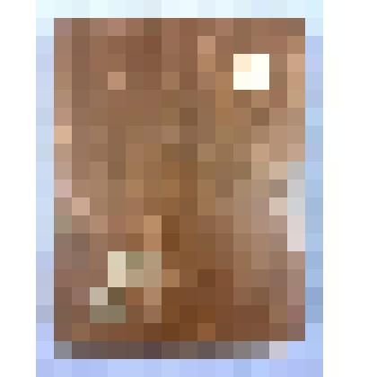 Шахматы дорожные Цивилева В.Г