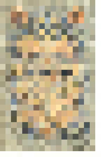 Государственный кредитный билет достоинством 5 рублей, образца 1909 года