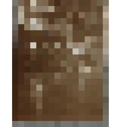 Фотография. Истомино. В кабинете А.А. Оленина.1910-е гг. Из комплекта: Фотографии из семьи Олениных