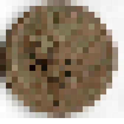 Монета. Российская империя