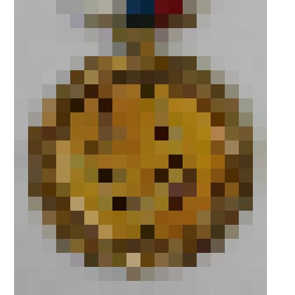 Медали памятные. Медаль за 1-е место в 1 Хакасской республиканской выставке охотничьих трофеев