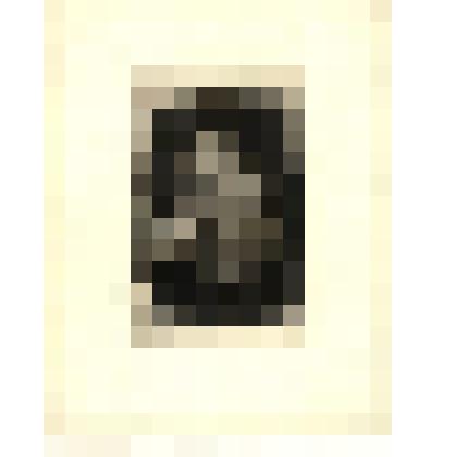 Портрет М.Е.Салтыкова-Щедрина.1890-1900-е