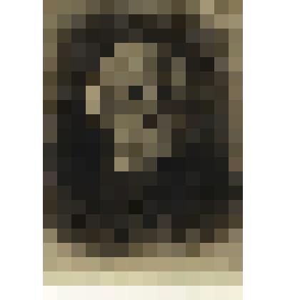 Портрет Д.В.Григоровича.1900