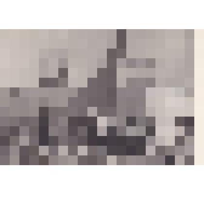 Фотография. Торжественное мероприятие в школе пос. Советский: прием в почётные пионеры