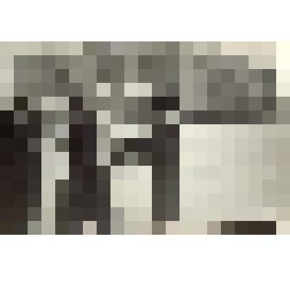 Фотография черно- белая. Административное здание г. Тайги