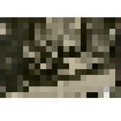 Фотография из фотоальбома. Соврудники 1927-1929гг. - тайга, рабочие, драги