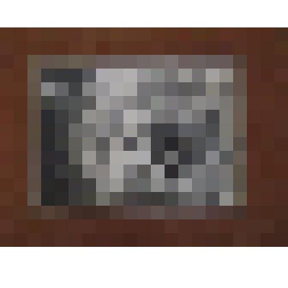 Фото. Группа молодежи , 9 человек. 1932-1933 г