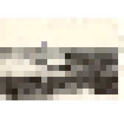 Фотография: сев зерновых в Плотниковском совхозе Каменского района Алтайского края