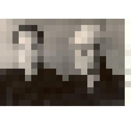 Фотография: свинарки Кировского отделения совхоза "Октябрь" Каменского района Алтайского края Серебрякова А.Ф., Татарникова Л.В