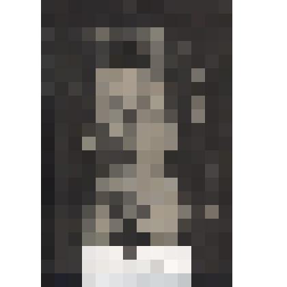 Портрет Блока,выполненный из тополиного пуха. Панкова А.И