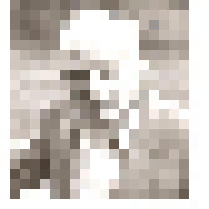 Фотография. Волколупов Василий Григорьевич – ветеран Великой Отечественной войны 1941-1945 гг