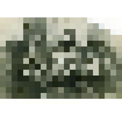 Фото. Любительская труппа Сольвычегодского театра