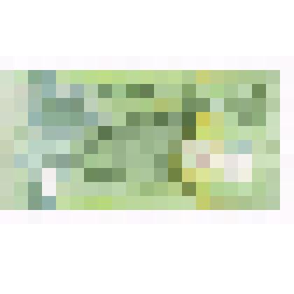 Денежный знак Новой Гвинеи. 2 кина