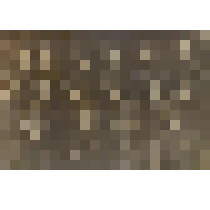 Фотография Гульсум Газизова с однополчанами