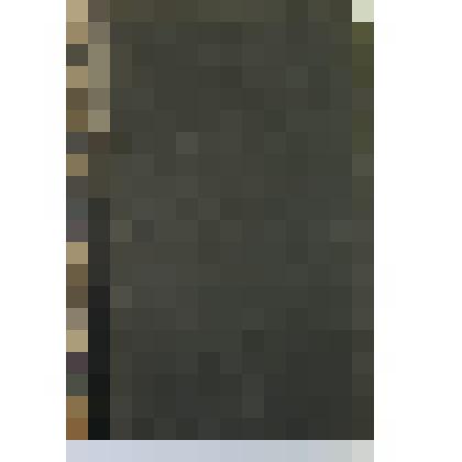 Энциклопедия Брокгауза и Эфрона. Том 16 (Внутри т.VIIIa)