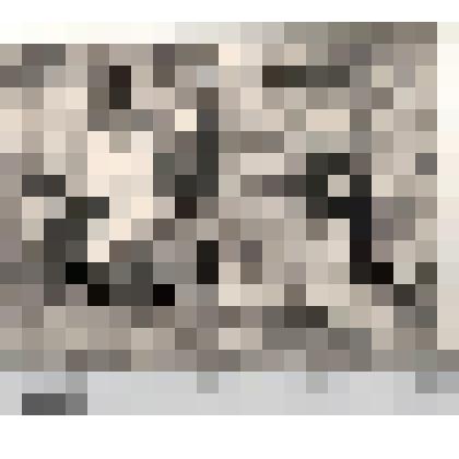 Фото групповое, на лоне природы, летом на фоне деревьев, стоит справа участница войны, местная  поэтесса -  Саяпова А.Ш