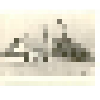 Фотография: строительство микрорайона "Черемушки" в г.Камень-на-Оби Алтайского края