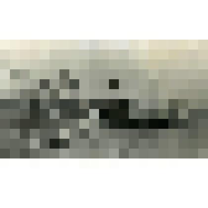 Фотография. Флотилия судов канала Москва-Волга у стен Кремля