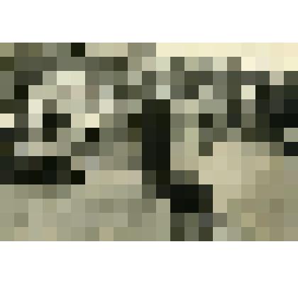 Фотография. Свадьба Жигаева В.И. Село Коломенское