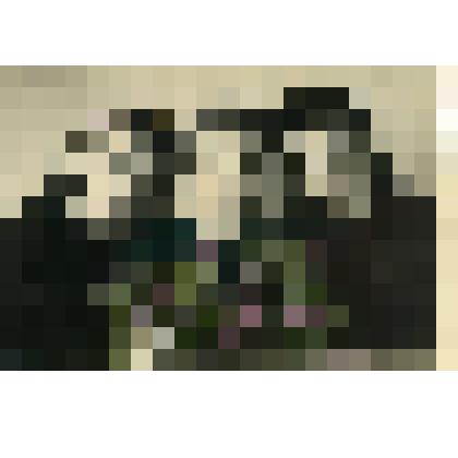 Фотография. Девушки из села Коломенского