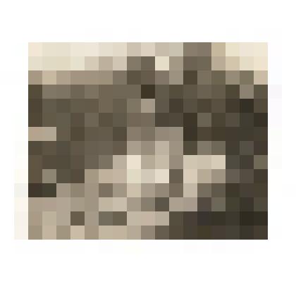 Ф/чб. Сиротина Ксения в детстве (загорает на отдыхе). Солнцедар. Краснодарский кр. 1931