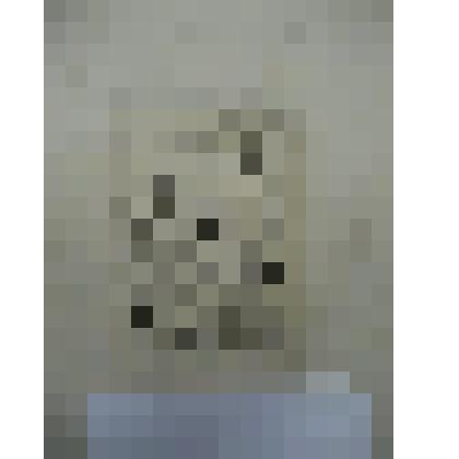 Лист № 7. Святое семейство и Иоанн Креститель. Коллекция И.С. Зильберштейна, офорт