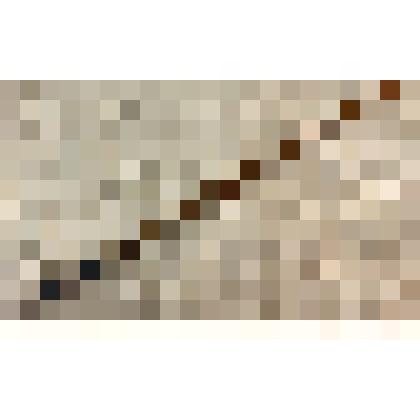 Кисть художественная Миловидова Бориса Васильевича, саратовского художника, из коллекции документальных, фотографических и вещевых материалов о Миловидовой Инне Борисовне (1929-2009), кандидате биологических наук, преподавателе биофака Саратовского госуда