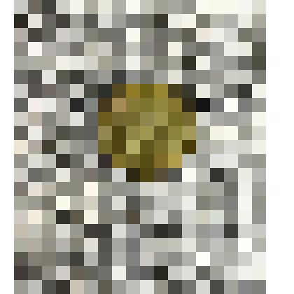 Монета достоинством 5 шекелей