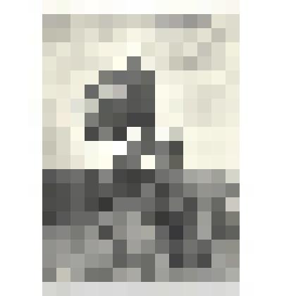 Фотографии. Фото ч/б. Советское знамя у реки "Халхин-Гол".1939 г