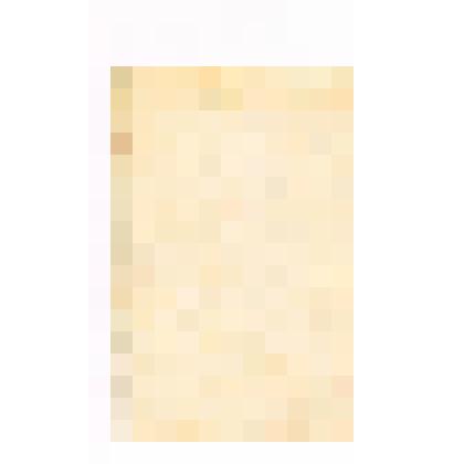 Документ. Удостоверение об избрании депутатом Бабкина Анатолия Васильевича