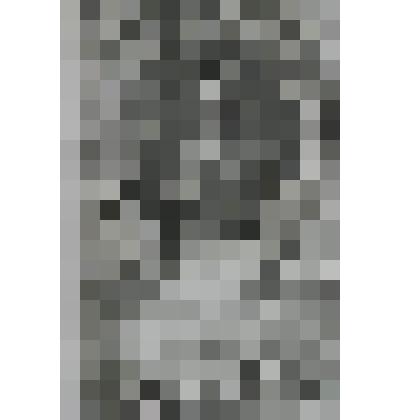 Портрет Георга [Йоргена], принца Датского, супруга Анны, королевы Великобритании и Ирландии