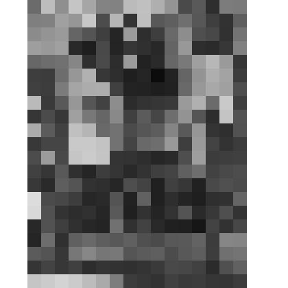 Фермерский дворец. Кабинет Александра II. Южная стена