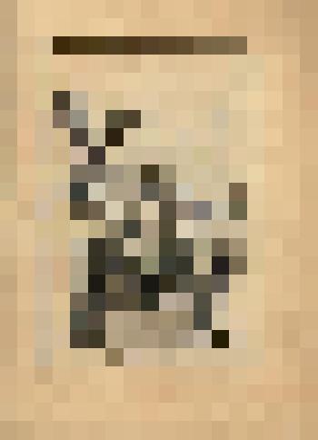 Laocoon. (Скульптурная группа "Лаокоон" (№ 54) - лист из альбома: «Recueil des statues, groupes, fontaines, termes, vases, et autres magnifiques ornaments du Chateau & Parc de Versailles.» T. I-IV. (Собрание фигур, групп, терм, фонтанов, ваз, статуй и дру