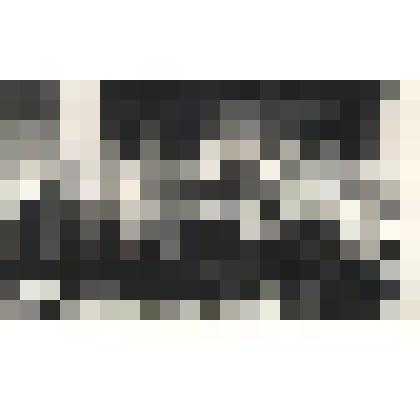 Фотографии. Фото ч/б, групповое. Встреча ветеранов Великой Отечественной войны в Хакасском республиканском краеведческом музее