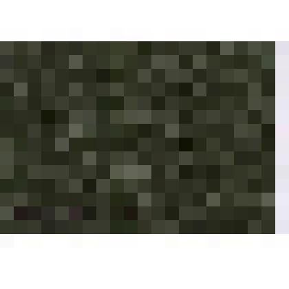 Удостоверение участника войны Асанова Александра Васильевича серия Е № 330706, выданное капитаном Мензелинского райвоенкомата М.Вдовиным 28 августа 1980 г