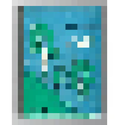 Книги. Книга "Зеленые вихри". - Абакан: Хаккнигиздат, 1962