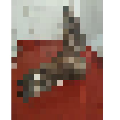 Чучело птицы орла