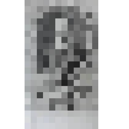 Портрет Бенедикта XIII