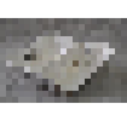 Менажница фаянсовая, с перегородкой посередине