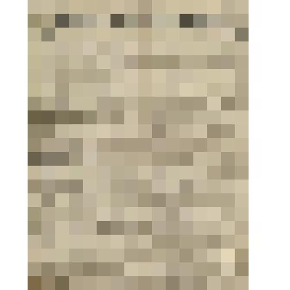 Газета. Русское знамя. № 241 (2 л.;)