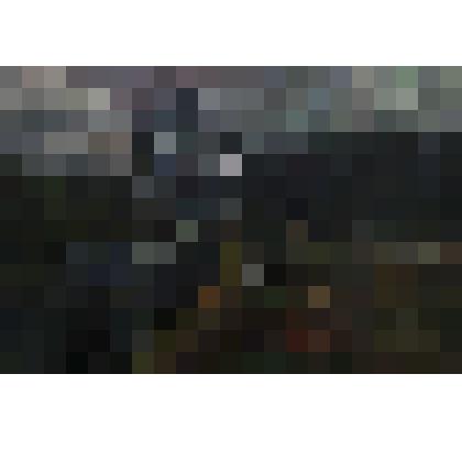 Картина «У Вори»