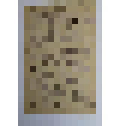 Письмо от Музалевского П. С. адресованное родителям