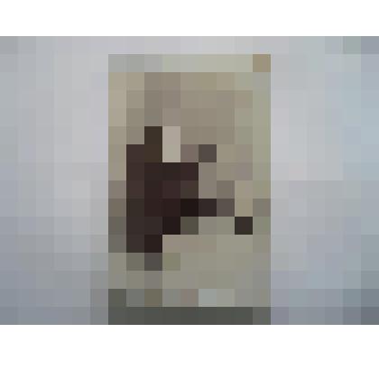 фотография. Шульгин Г.А. с супругой