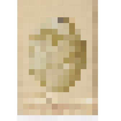 Фото М.А. Волошина с матерью