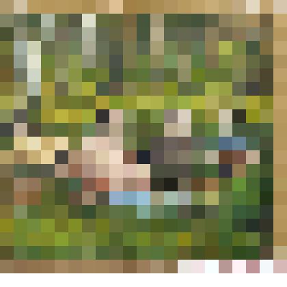 Грибники на отдыхе