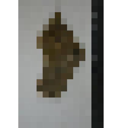 Сосуд. Фрагмент